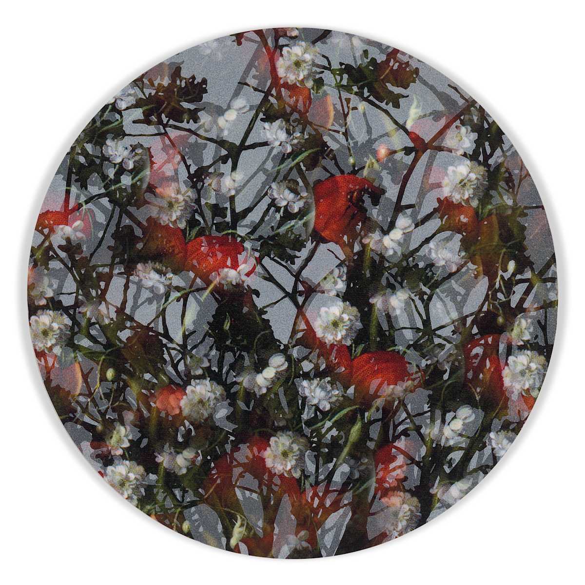 Kaleidoscopic Floral Study 19 by J Myszka Lewis, Image 2.