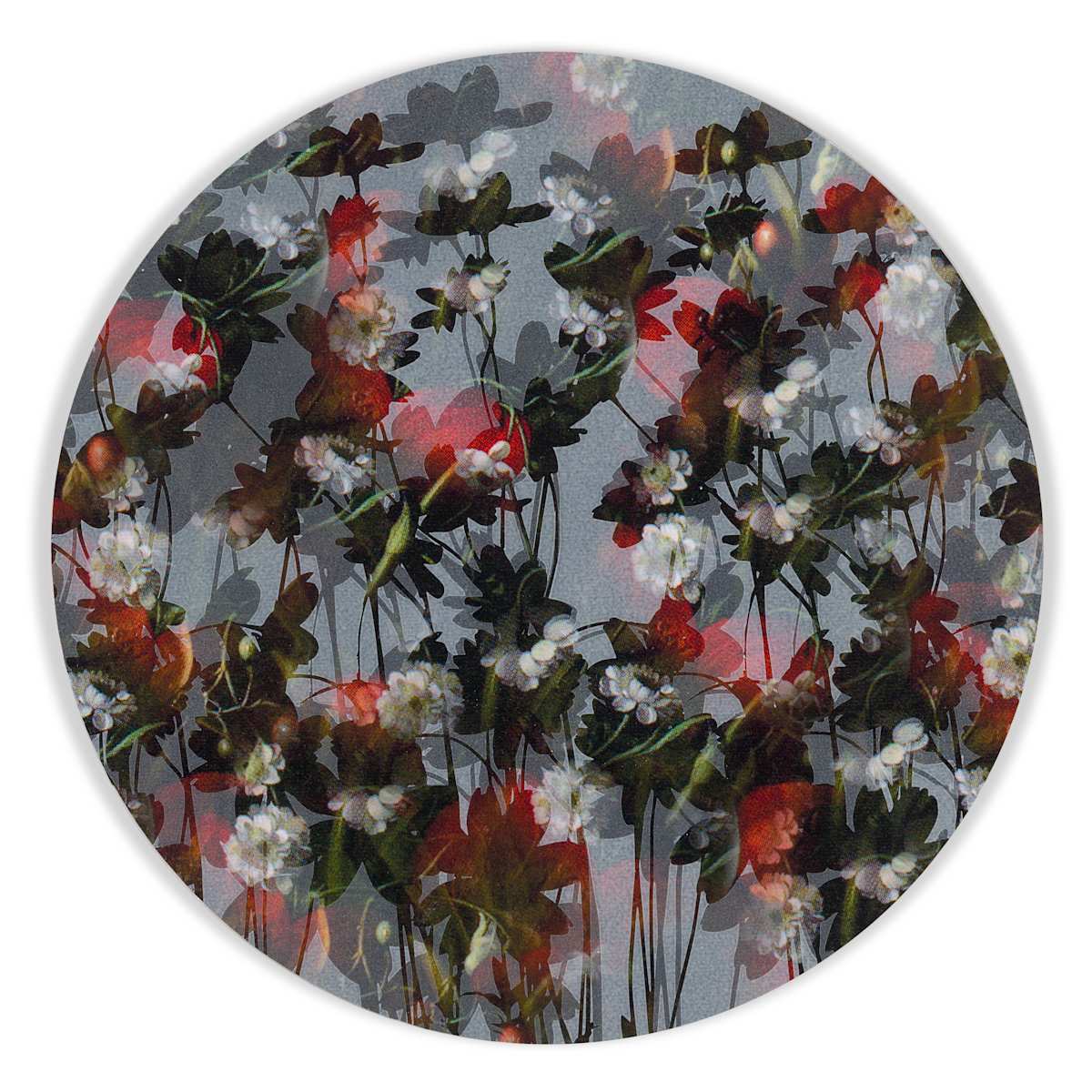 Kaleidoscopic Floral Study 20 by J Myszka Lewis 