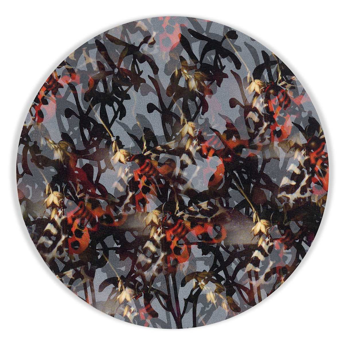 Kaleidoscopic Floral Study 24 by J Myszka Lewis 