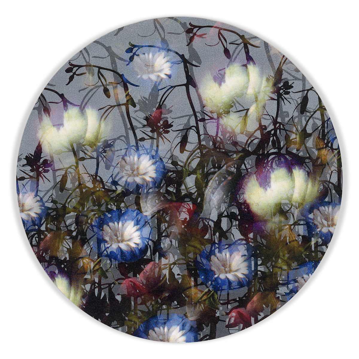 Kaleidoscopic Floral Study 25 by J Myszka Lewis, Image 1.