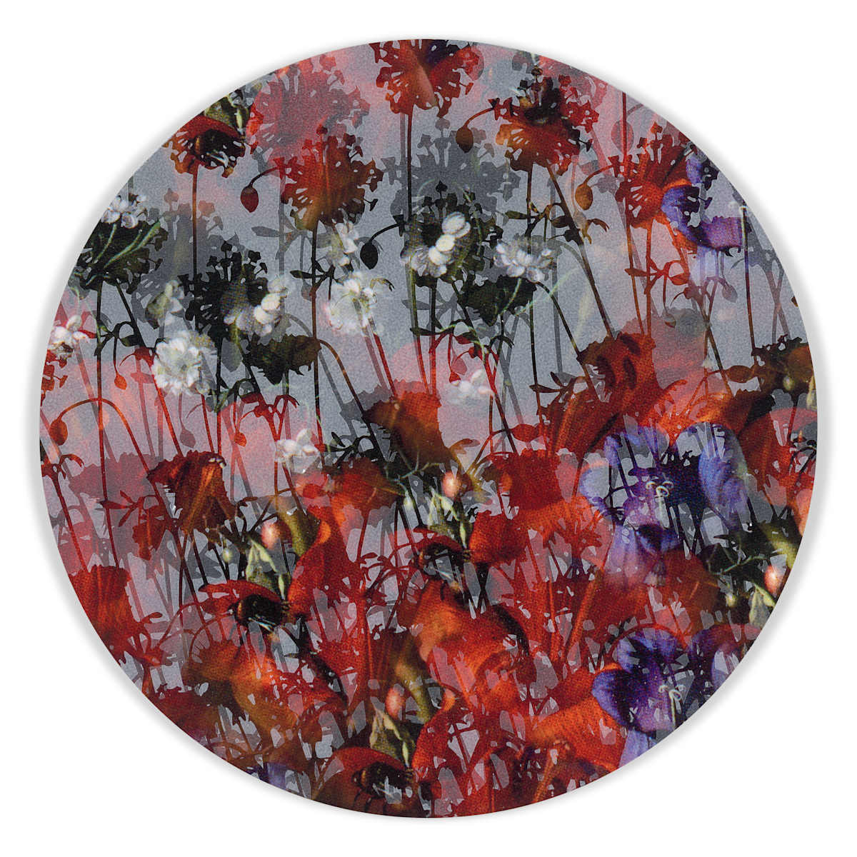 Kaleidoscopic Floral Study 28 by J Myszka Lewis 