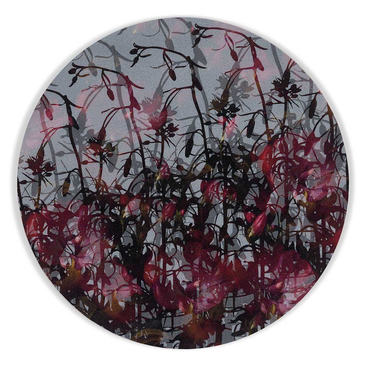 Kaleidoscopic Floral Study 29 by J Myszka Lewis, Image 2.