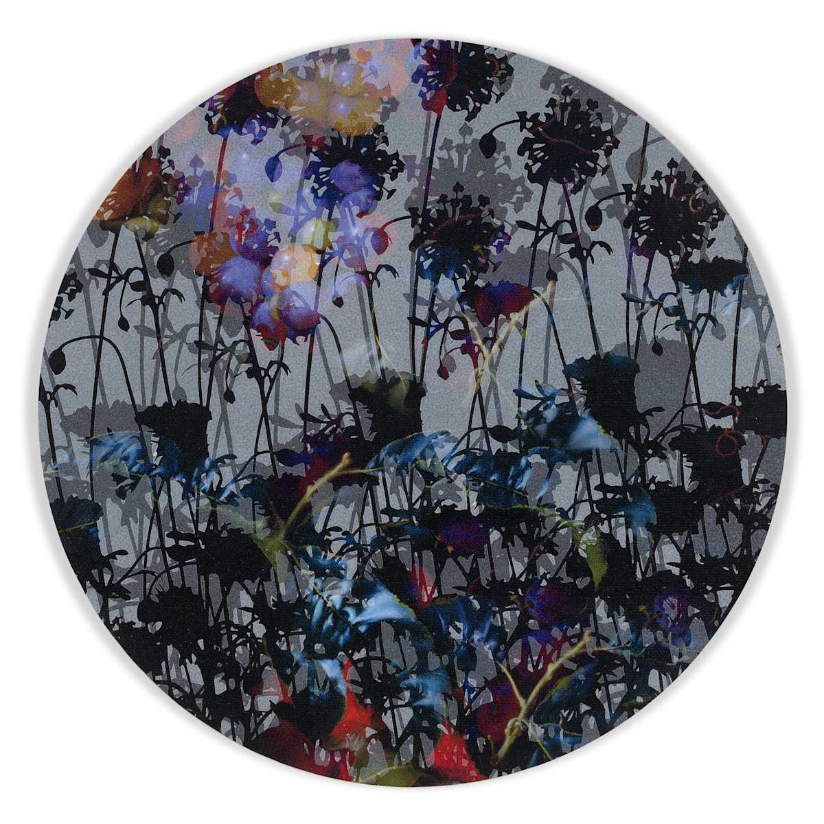 Kaleidoscopic Floral Study 3 by J Myszka Lewis, Image 2.