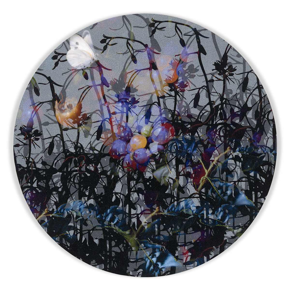 Kaleidoscopic Floral Study 4 by J Myszka Lewis 