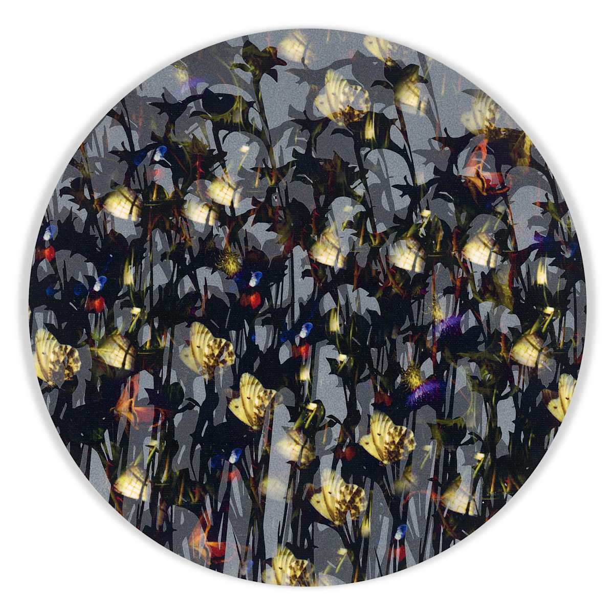 Kaleidoscopic Floral Study 5 by J Myszka Lewis 