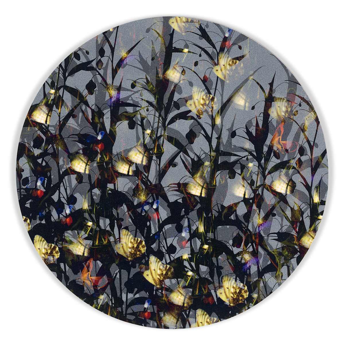Kaleidoscopic Floral Study 6 by J Myszka Lewis, Image 2.