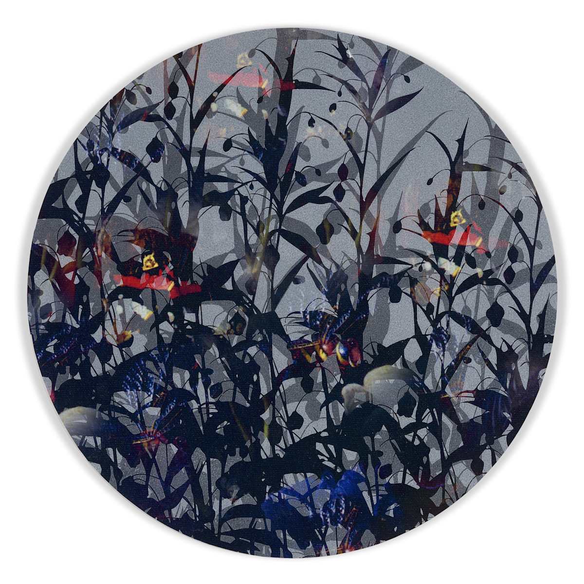Kaleidoscopic Floral Study 7 by J Myszka Lewis, Image 2.