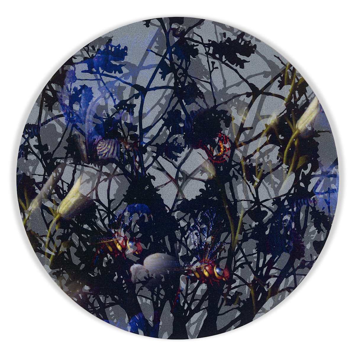 Kaleidoscopic Floral Study 9 by J Myszka Lewis, Image 1.