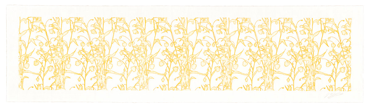 Lace study 2 (golden lantern lily) by J Myszka Lewis 