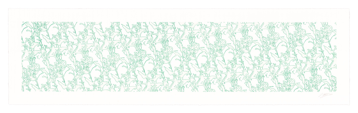 Lace study 4 (tweedia) by J Myszka Lewis 