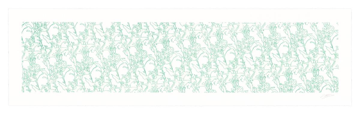 Lace study 4 (tweedia) by J Myszka Lewis, Image 3.