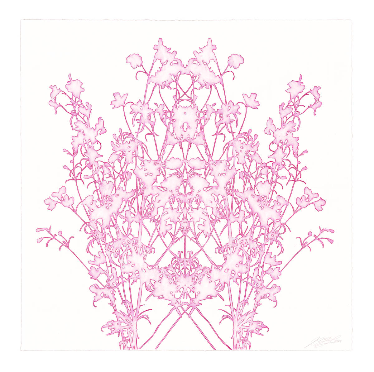 Lace study 5 (larkspur) by J Myszka Lewis, Image 3.