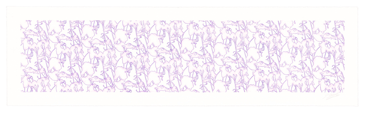 Lace study 7 (bell clematis) by J Myszka Lewis, Image 3.