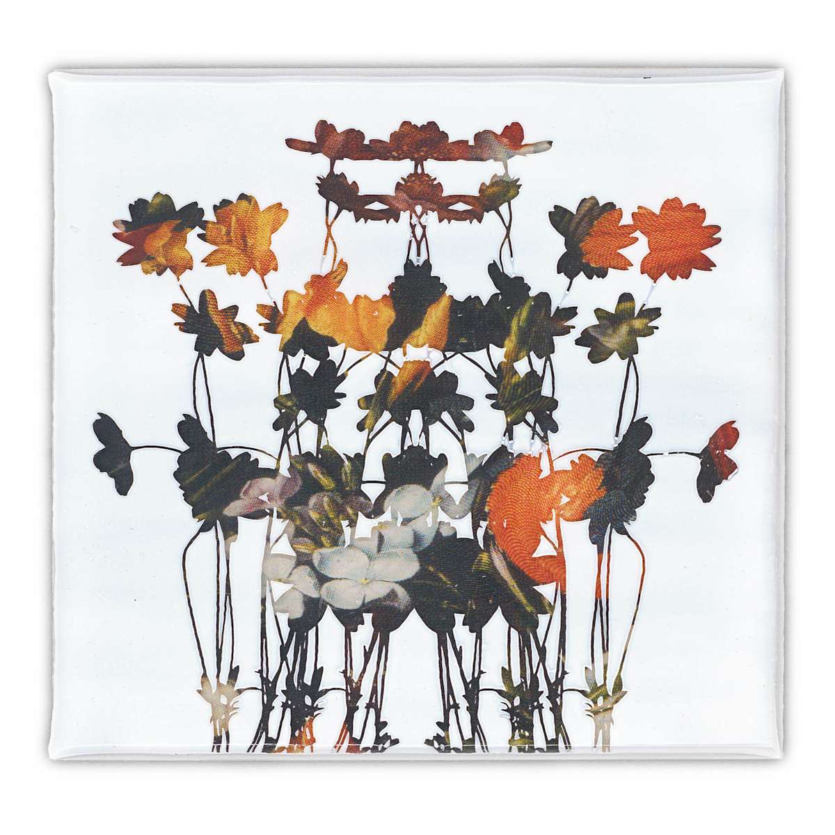 Offsets and Suckers 11 by J Myszka Lewis, Image 2.
