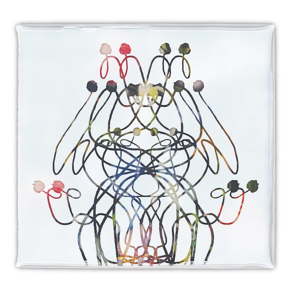 Offsets and Suckers 13 by J Myszka Lewis, Image 2.