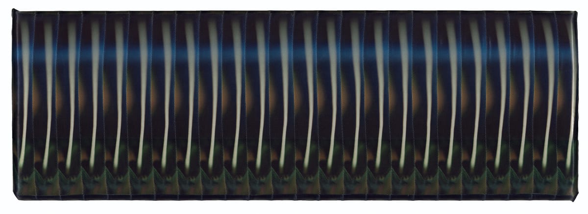 Siren 12 by J Myszka Lewis, Image 1.