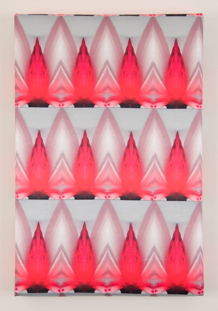 Siren 5 by J Myszka Lewis 