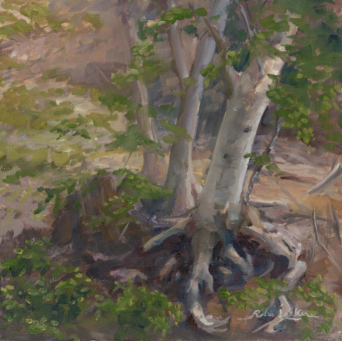 Gnarly Roots by Robin Luker, Image 1.