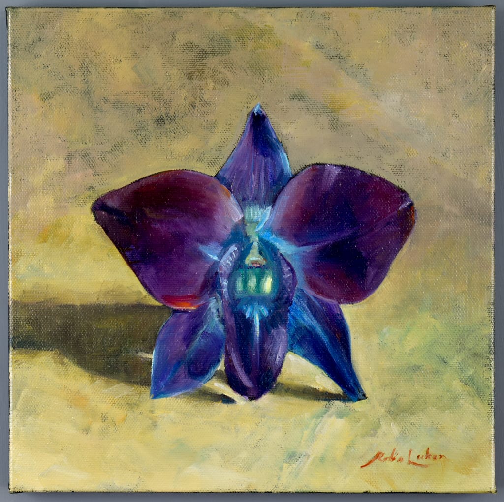 Orchid by Robin Luker 