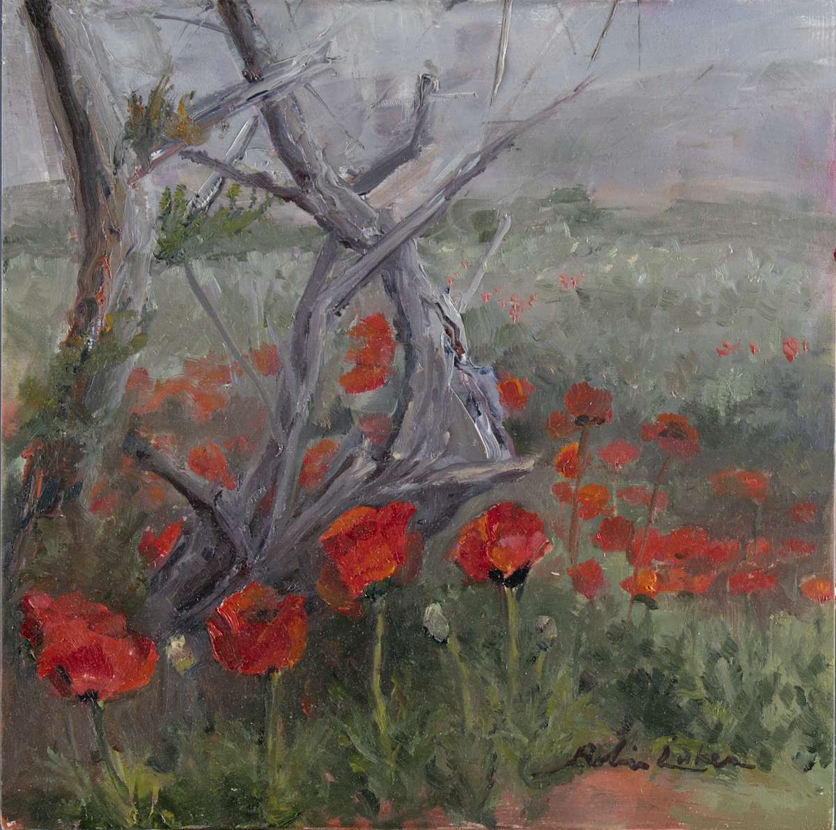 Poppies at Lambert Park by Robin Luker, Image 14.