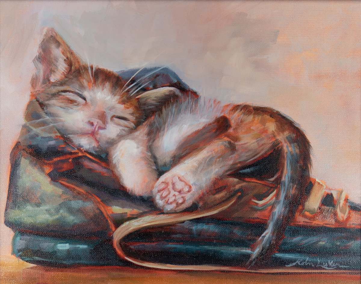 Soft Little Kitty by Robin Luker, Image 1.