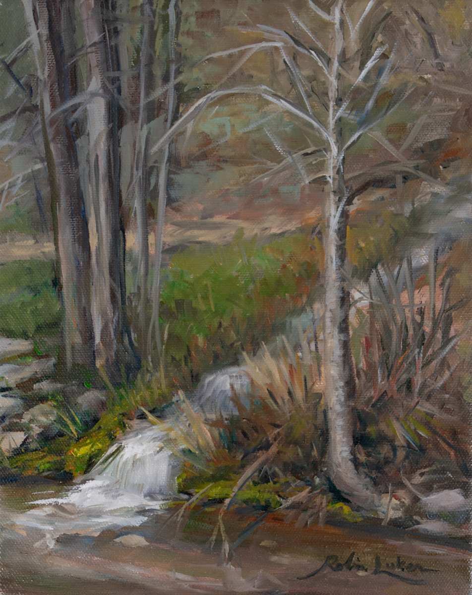Spring Runoff in Millcreek Canyon by Robin Luker, Image 1.