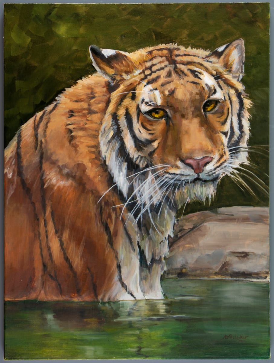 Wet Cat by Robin Luker, Image 4.
