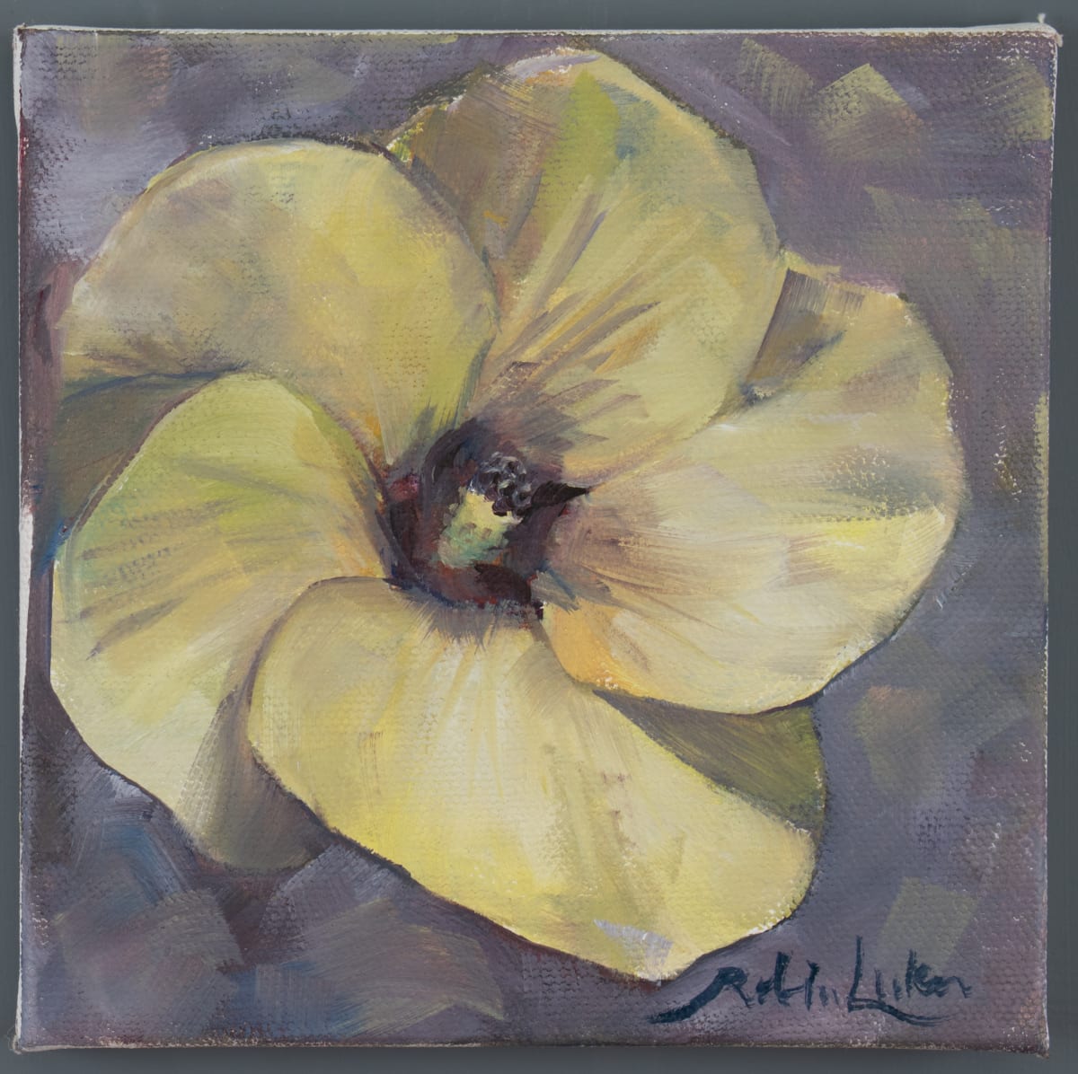 Okra Bloom by Robin Luker 