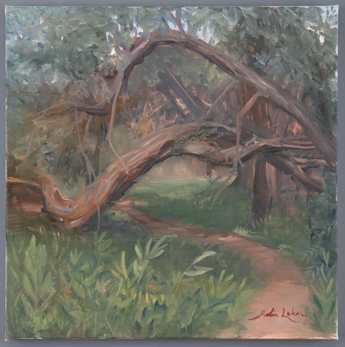 Fairy Portal by Robin Luker, Image 12.