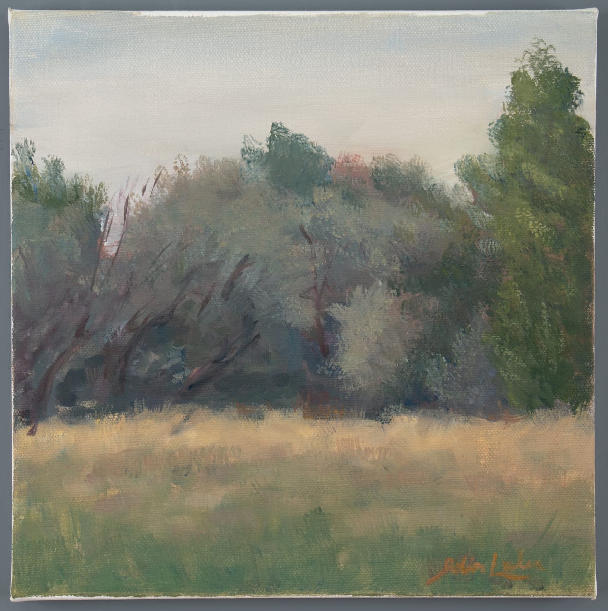 Russian Olive by Robin Luker, Image 4.