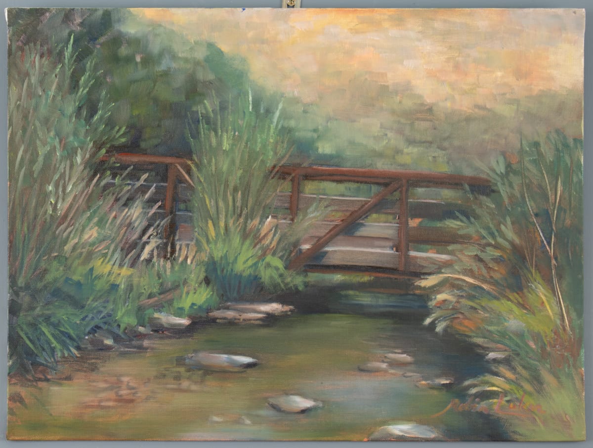 Mormon Flats by Robin Luker 