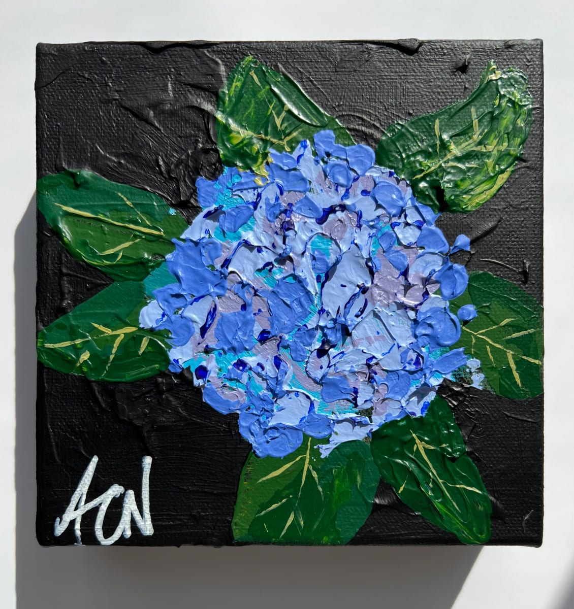 Hydrangea sur Noire by Claire Necessary 