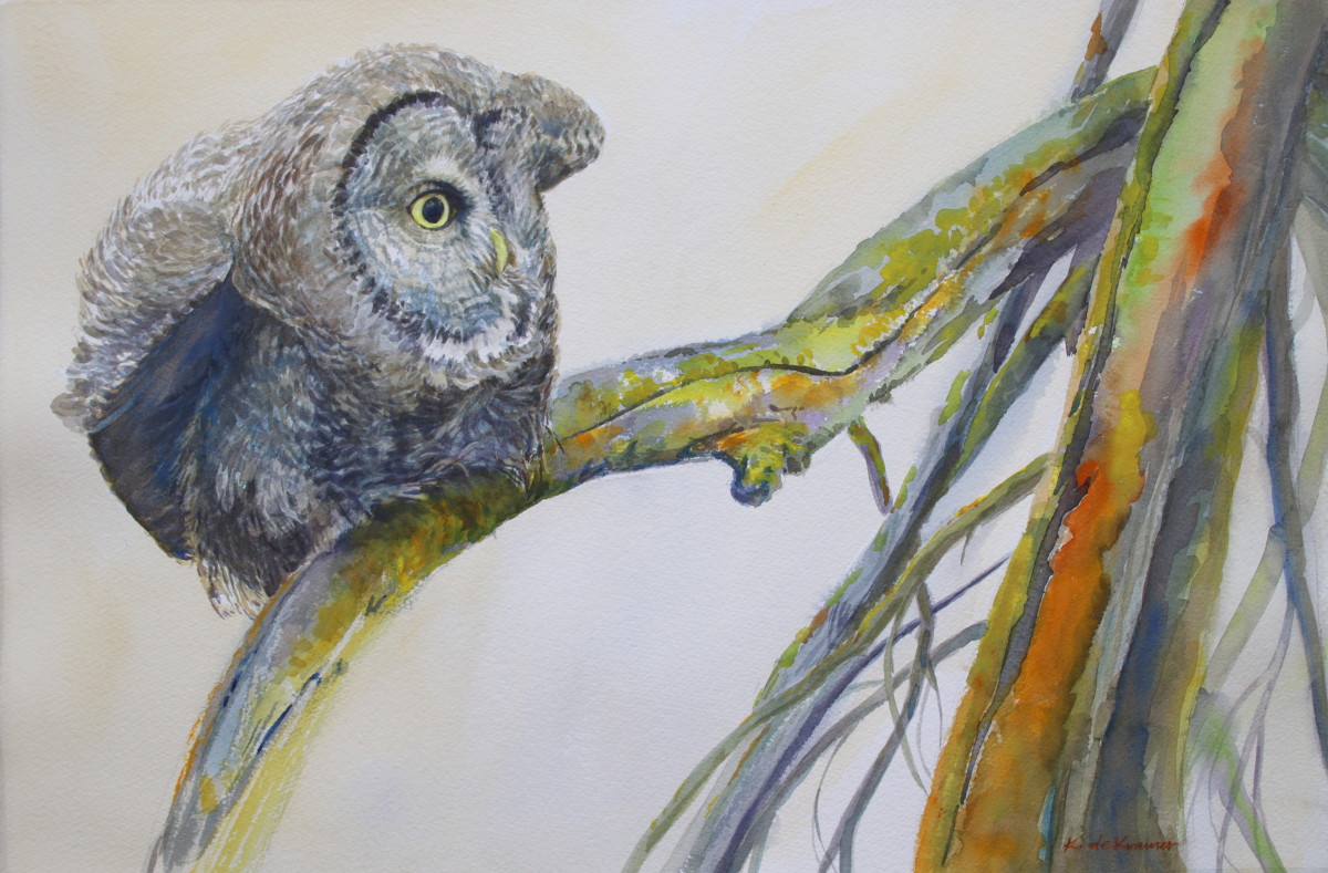 Voal Goal - Great Gray Owl by Karyn deKramer 