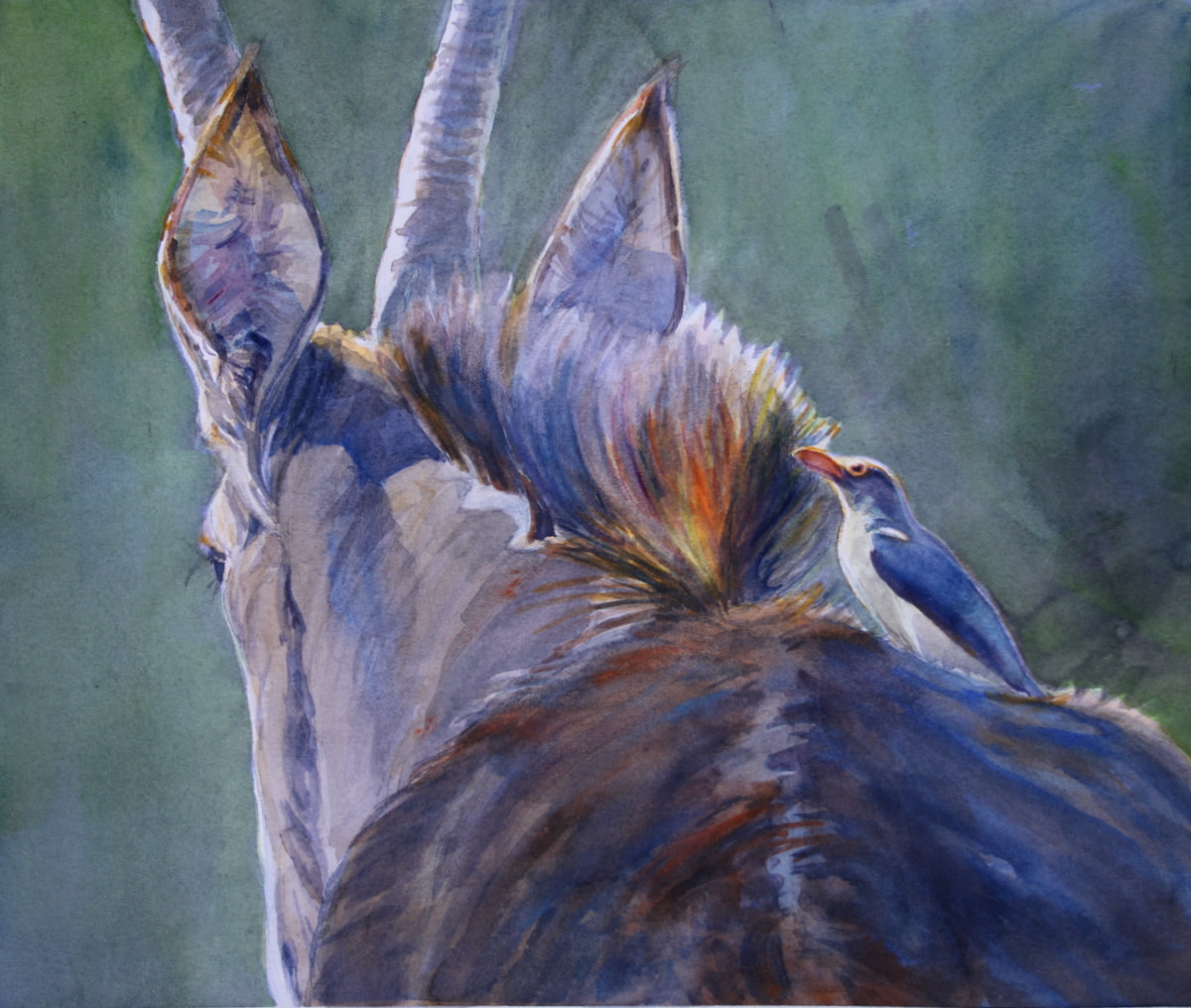 Oxpecker on Sable by Karyn deKramer 