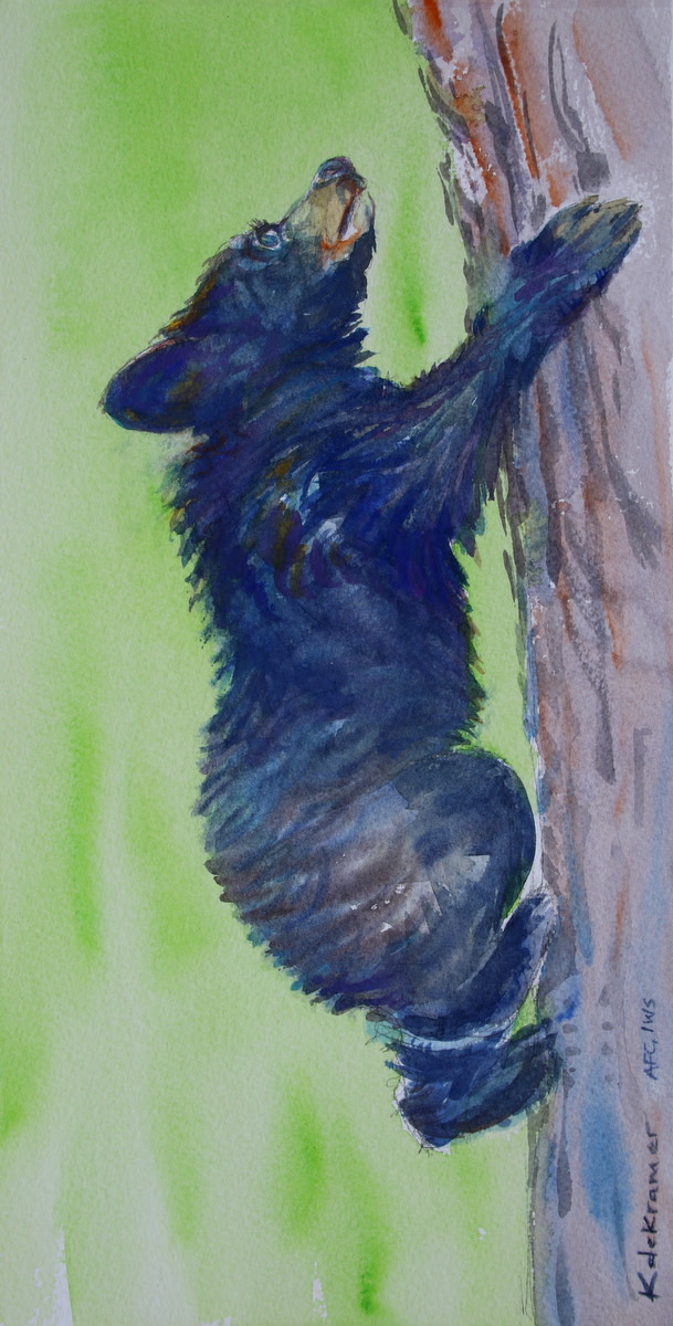 Tree Hugger - Black bear cub by Karyn deKramer 