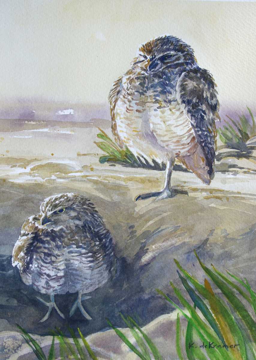 Dirt Diva - Burrowing Owls by Karyn deKramer, Image 1.