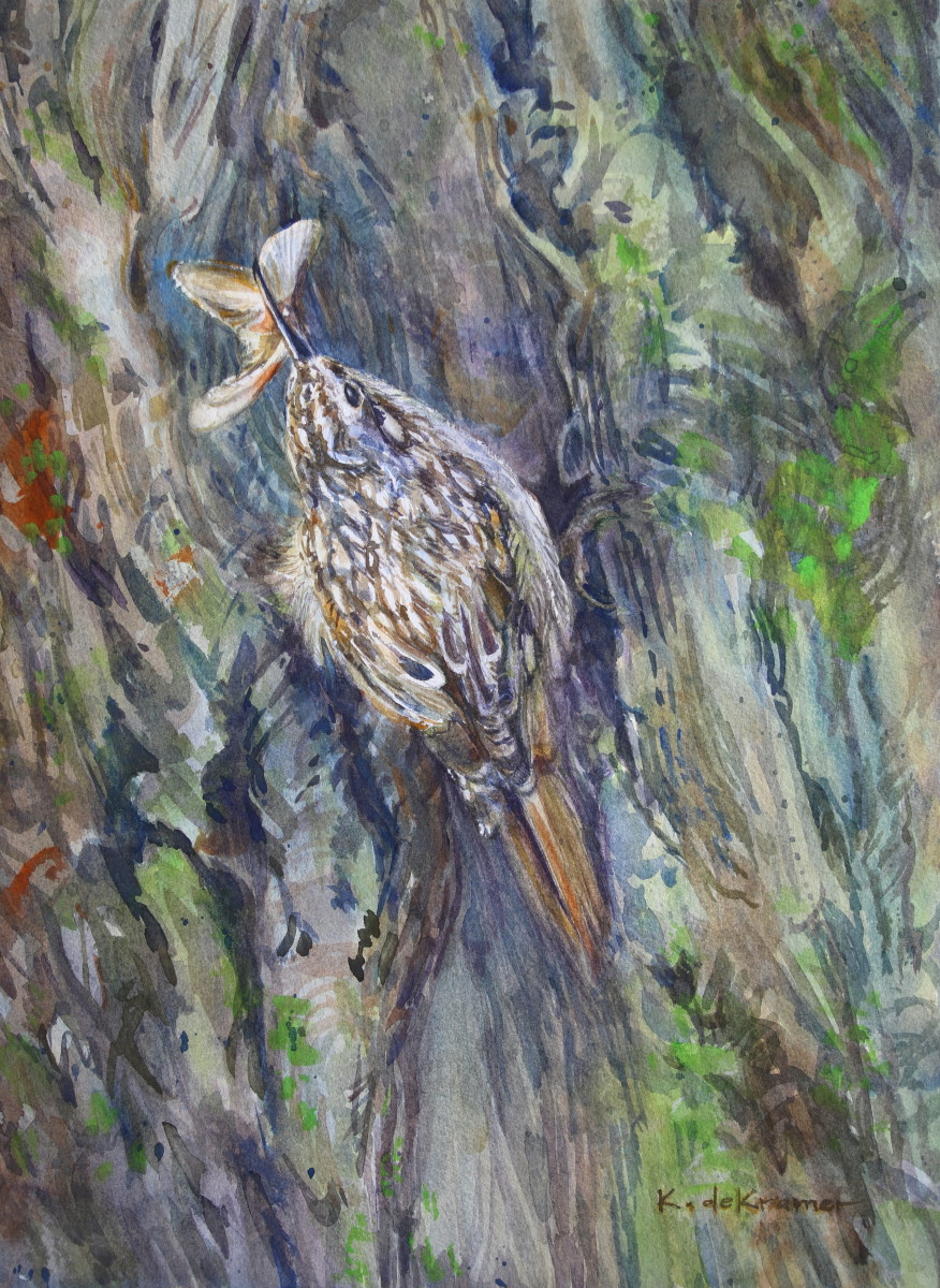 Creeper Catch- Brown Creeper by Karyn deKramer 