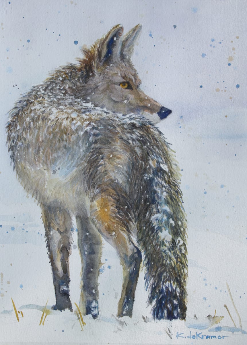 Tempest - Coyote by Karyn deKramer 