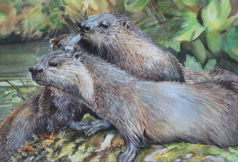 Otter Trio - North American River Otter by Karyn deKramer 