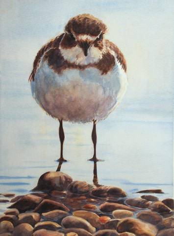 Plump Plover by Karyn deKramer 