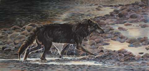 'Midnight Swim' - Black Wolf by Karyn deKramer, Image 1.