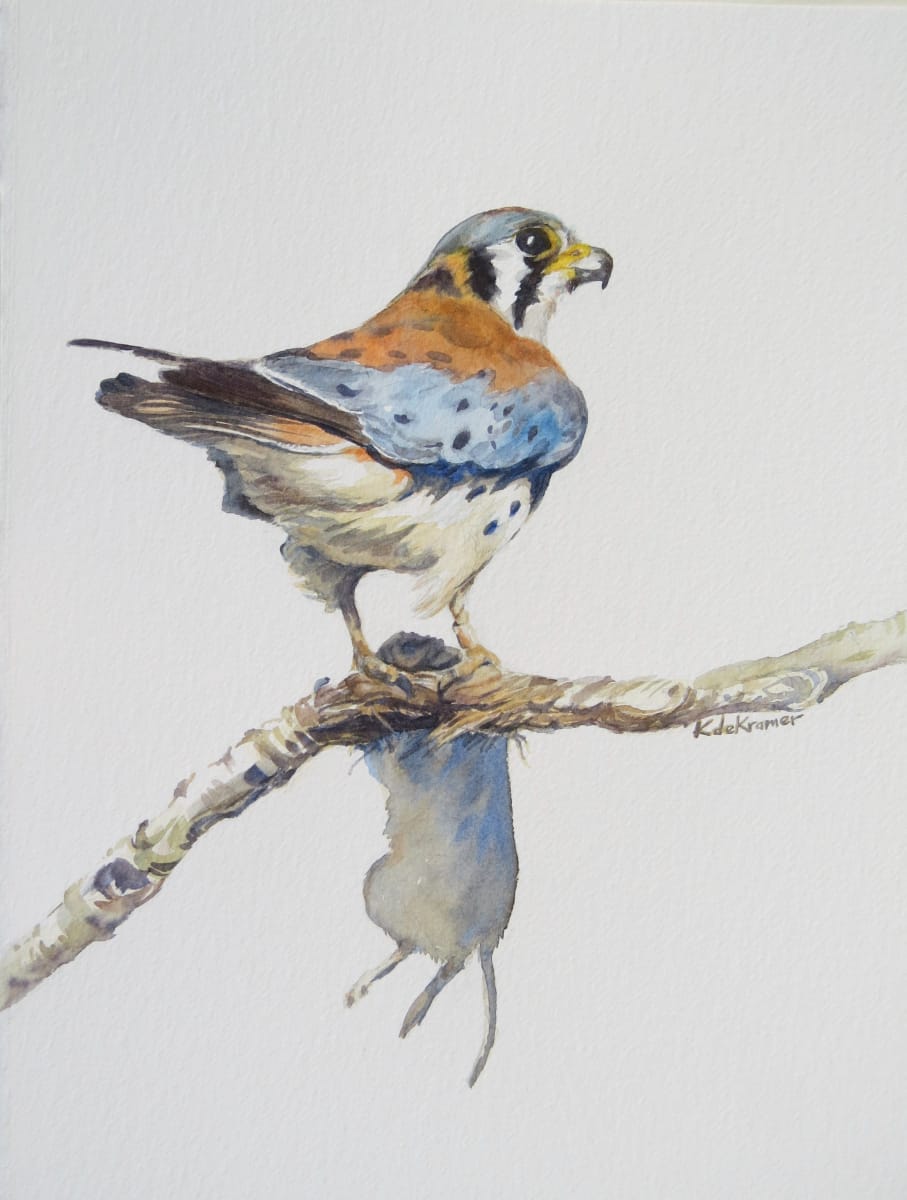 Fast Food - American Kestrel by Karyn deKramer, Image 1.