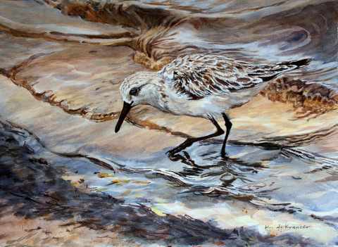Sanderling by Karyn deKramer, Image 1.