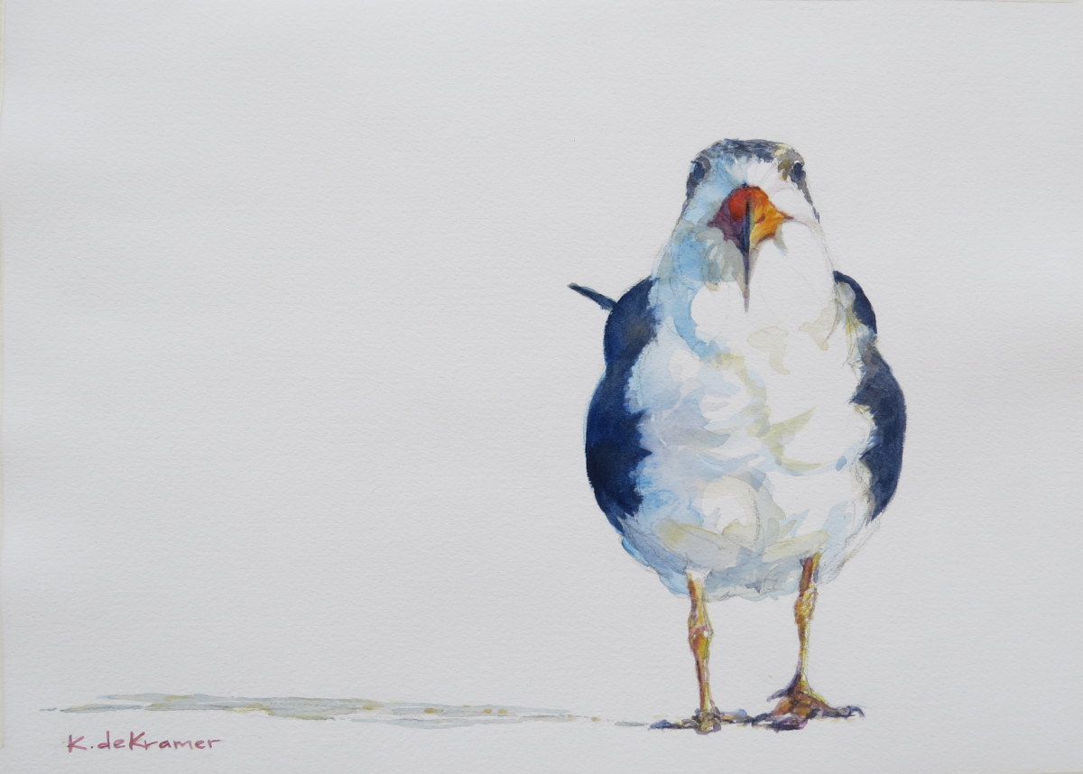 Black Skimmer by Karyn deKramer 