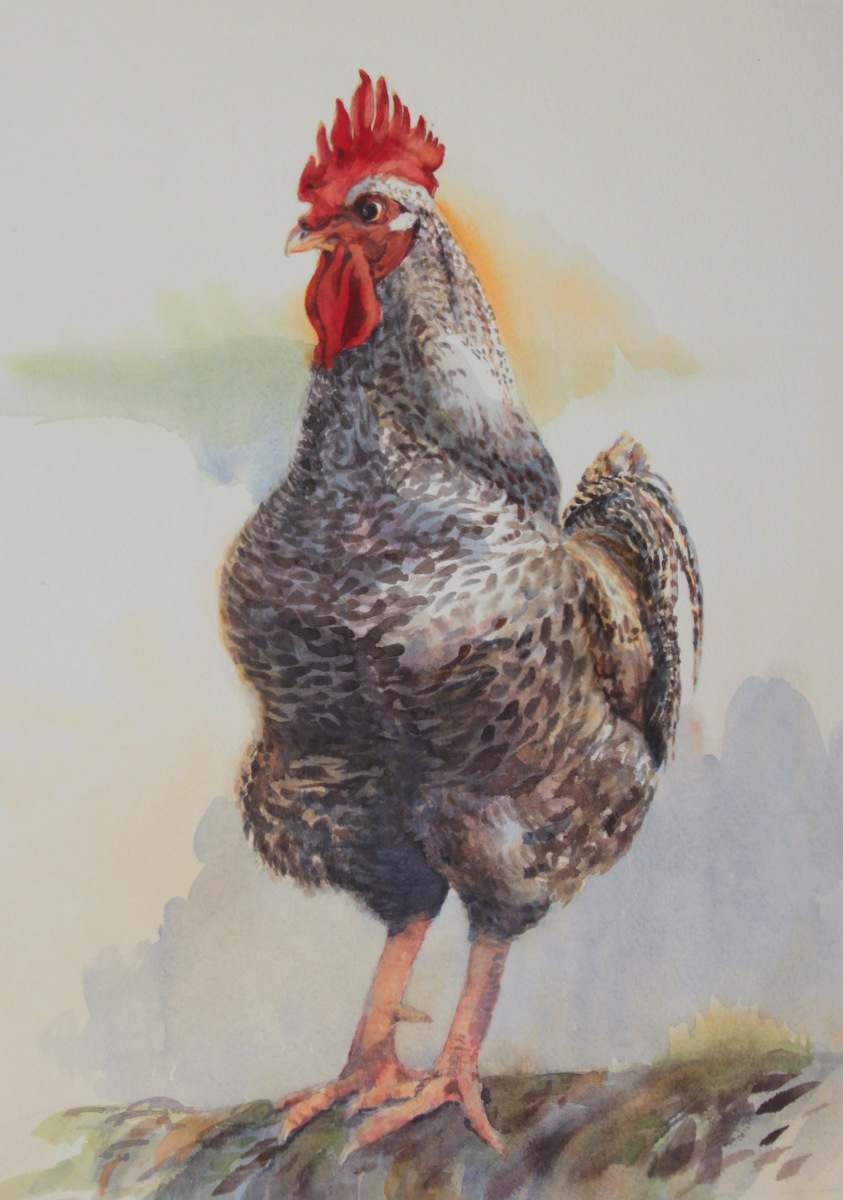 'Hot Sauce' - Rooster by Karyn deKramer, Image 1.