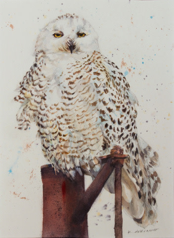 Snowy Owl - portrait/front by Karyn deKramer 