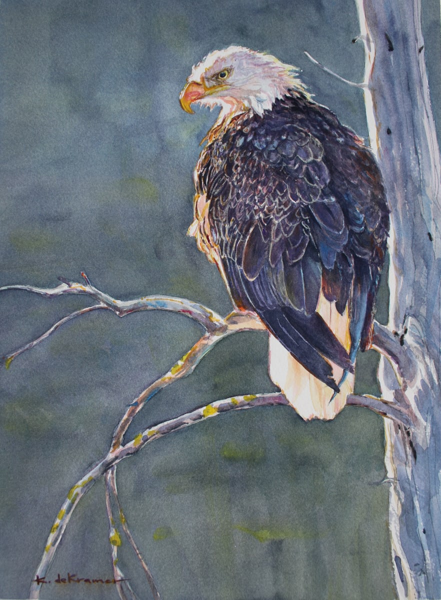 Morning Glory - Bald Eagle by Karyn deKramer  Image: Morning Glory - Bald Eagle
