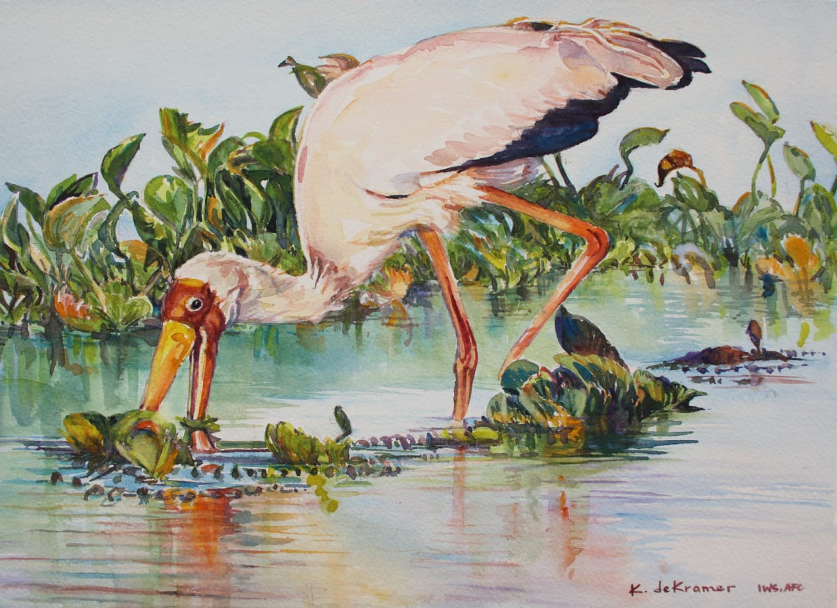 Yellow-billed Stork  Image: Yellow-billed Stork