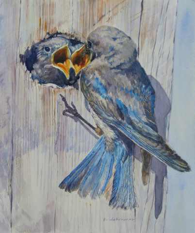 Me!!  Mountain Bluebird by Karyn deKramer 