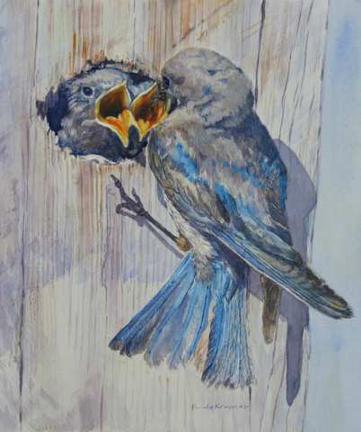 Me!!  Mountain Bluebird by Karyn deKramer, Image 1.